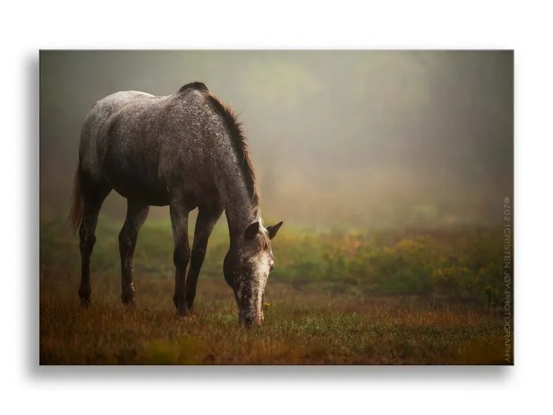 Tender Care Custom Print