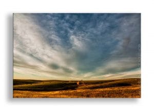 Read more about the article Glimpses of Fall on the Prairie