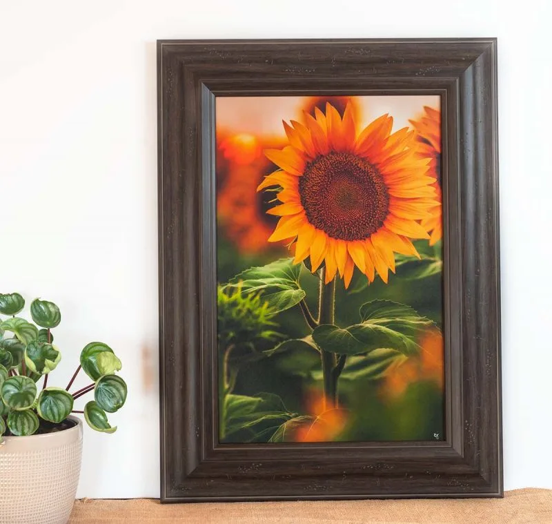 Blazing Sun 12x18 Framed Giclee Canvas Print