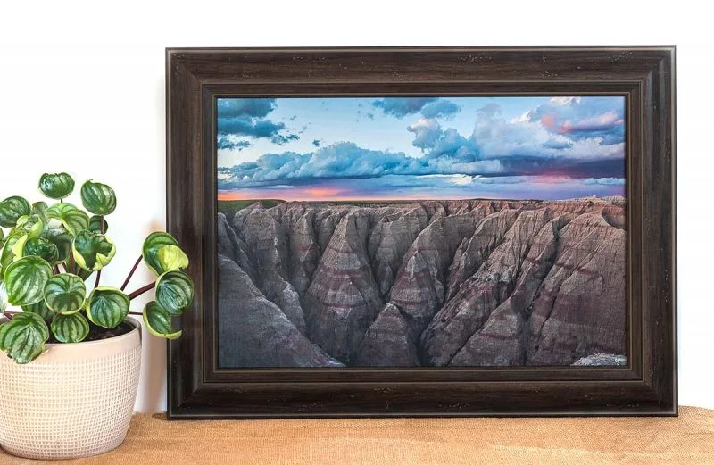 Pink 12x18 Framed Giclee Canvas Print - Image 2