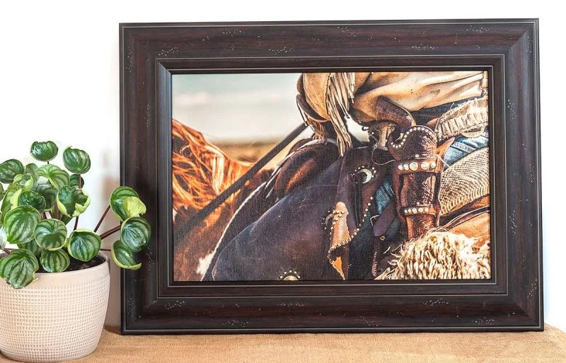 Buckaroo 12x18 Framed Giclee Canvas Print