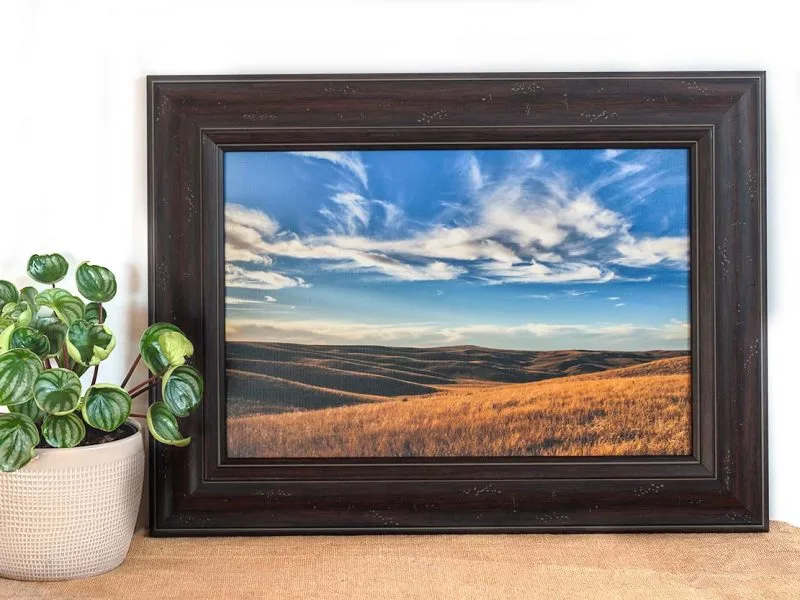 South Dakota Prairie 12×18 Framed Giclee Canvas Print