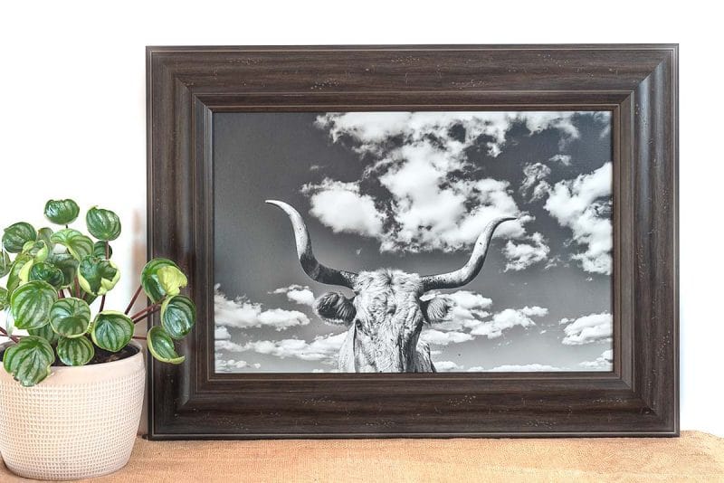 Stella 12x18 Framed Giclee Canvas Print