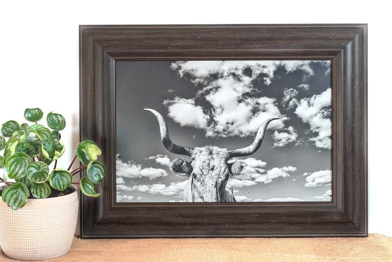 Stella 12x18 Framed Giclee Canvas Print