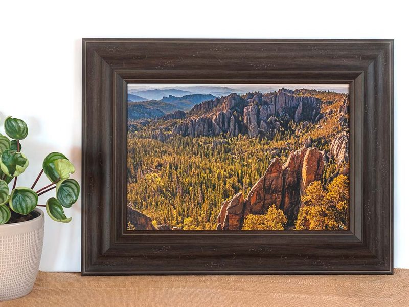 Black Hills 12×18 Framed Giclee Canvas Print