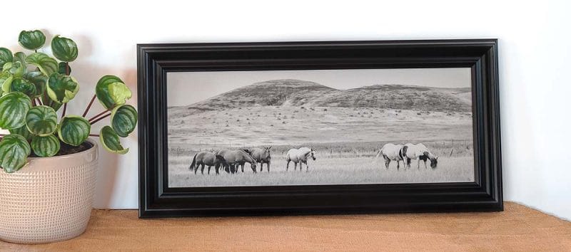 Caught in the Middle 7x18 Framed Giclee Canvas Print
