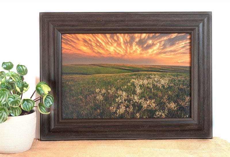 Green Pastures 12x18 Framed Giclee Canvas Print