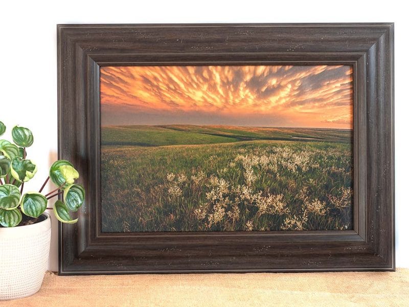 Green Pastures 12×18 Framed Giclee Canvas Print