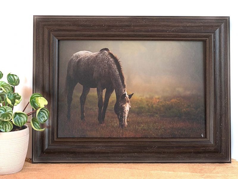 Tender Care 12×18 Framed Giclee Canvas Print