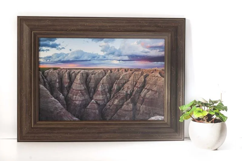 Pink 12x18 Framed Giclee Canvas Print
