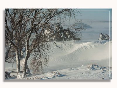 End of the Year Reflections