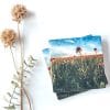 Rejoicing Coaster - Image 2
