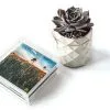 Abstract Leaves Coasters - Image 4