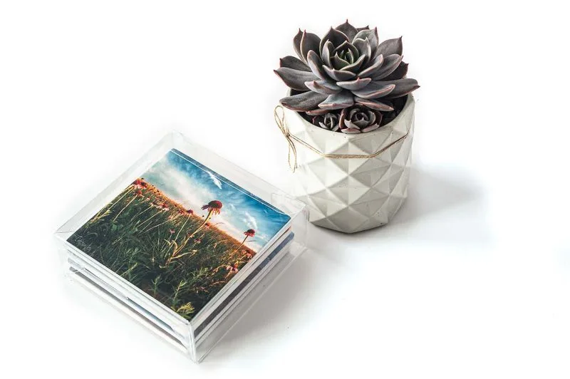 Abstract Leaves Coasters - Image 4