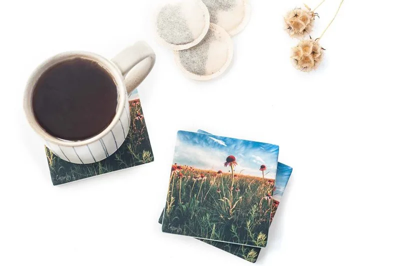 Rejoicing Coaster