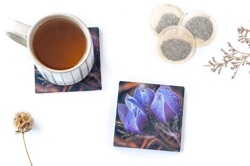 Pasque Delight Coaster