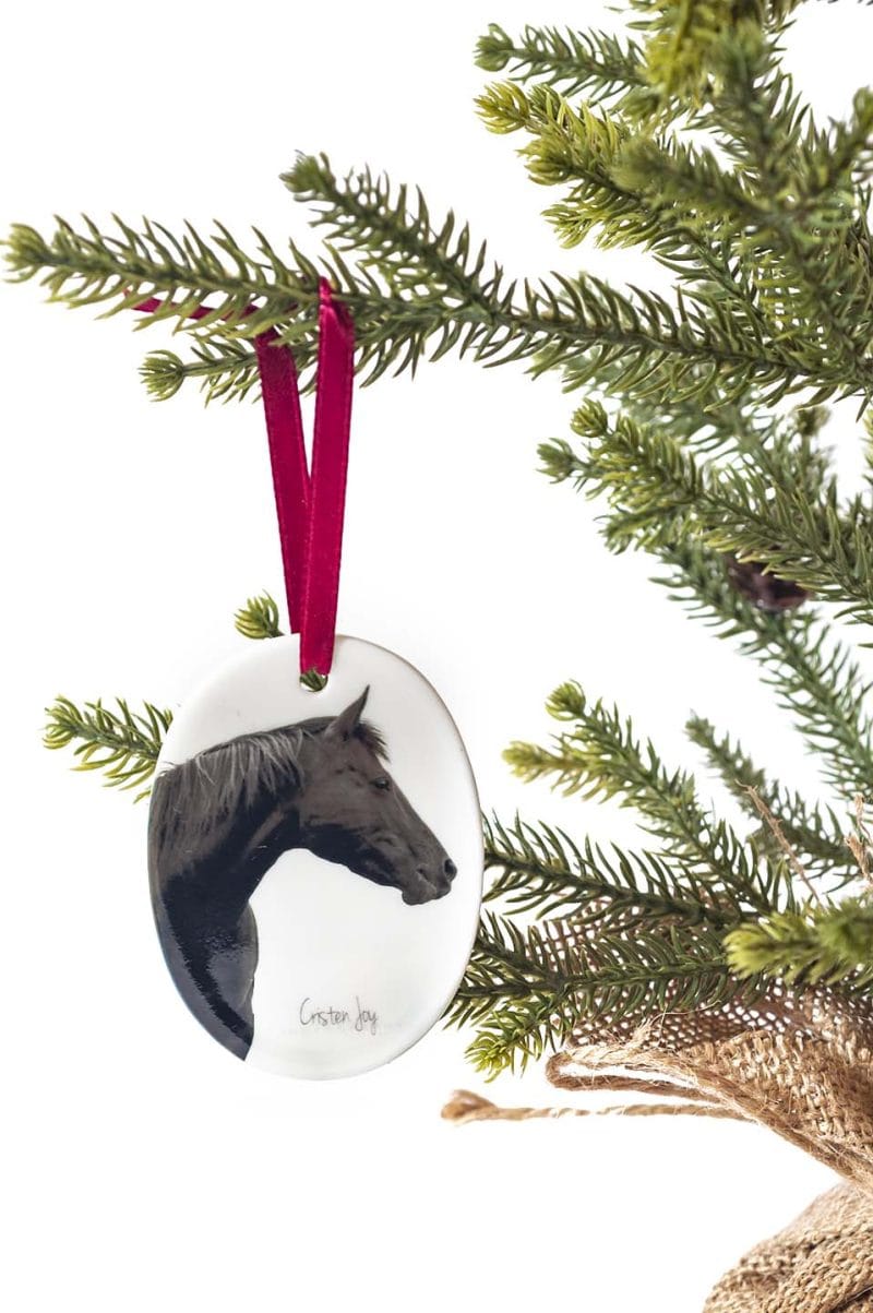 Porcelain Ornament