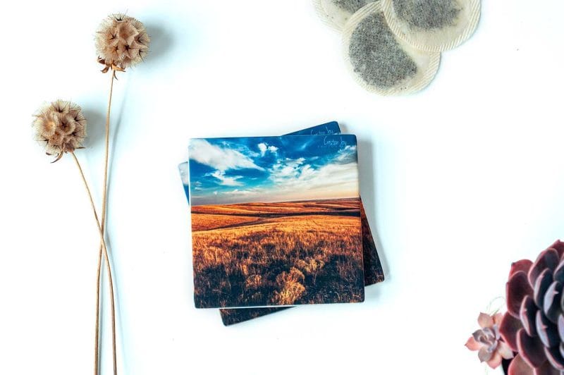 Dakota Day Coasters