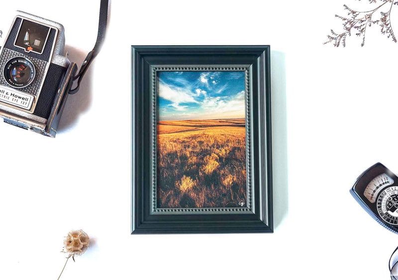 Dakota Day Framed Mini Canvas Print