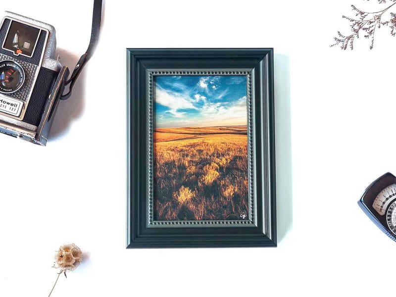 Dakota Day Framed Mini Canvas Print