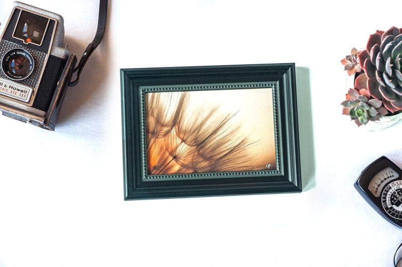 Known Framed Mini Canvas Print