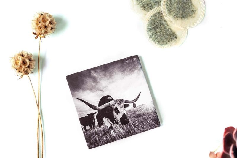 Open Range Coaster
