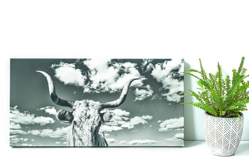 Stella 12x24 Giclee Canvas Wrap