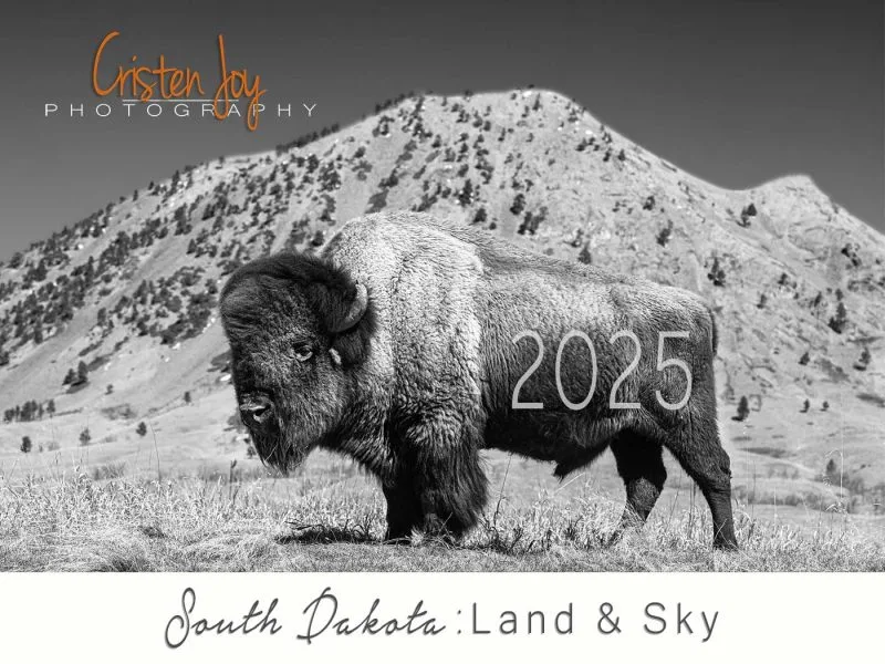 2025 Calendar
