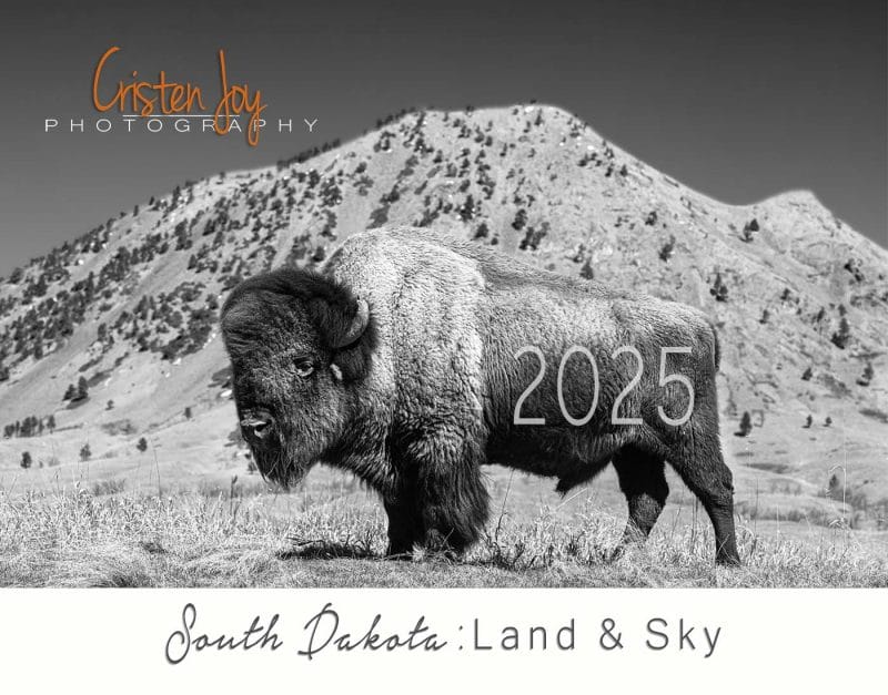 2025 Calendar