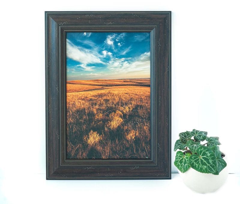 Dakota Day 12x18 Framed Giclee Canvas Print