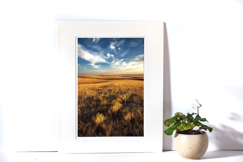Dakota Day 10x15 Matted Print