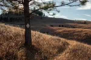 Centennial Trail #3 | Fall