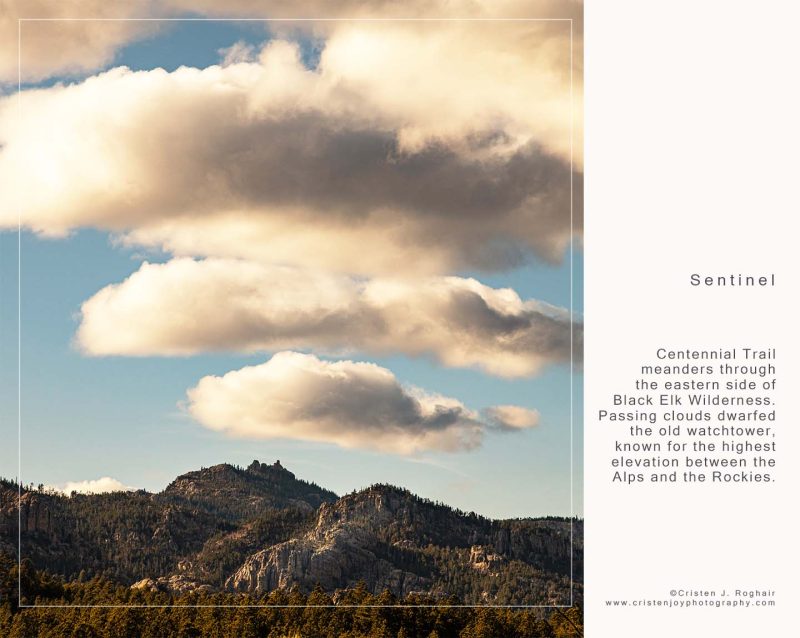 2026 Calendar - Image 5