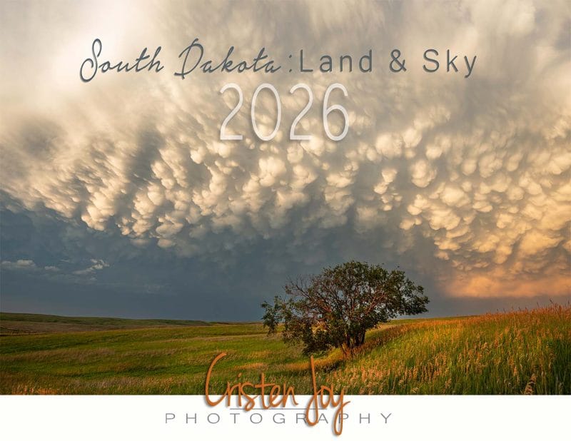 2026 Calendar - Image 3