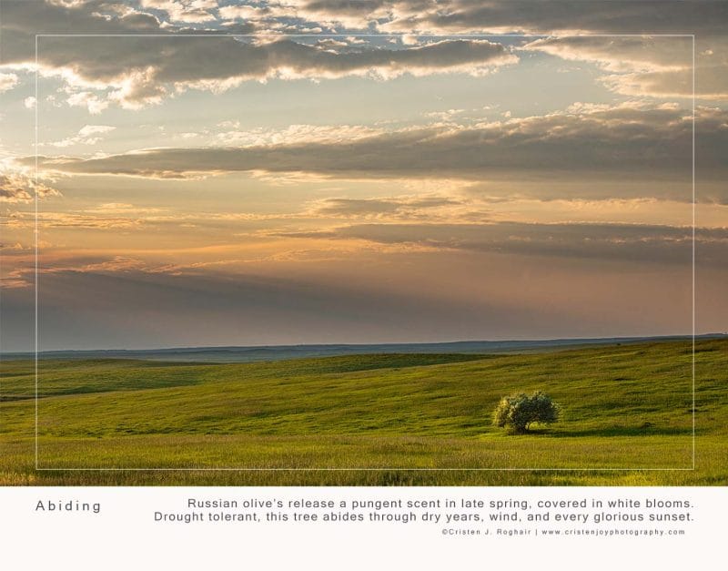 2026 Calendar - Image 4