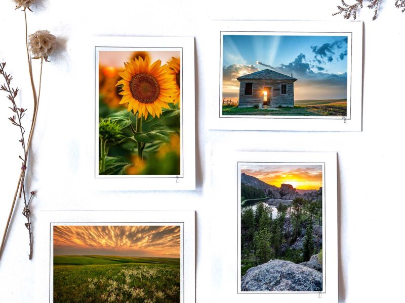 2025 Best Sellers Notecard Collection