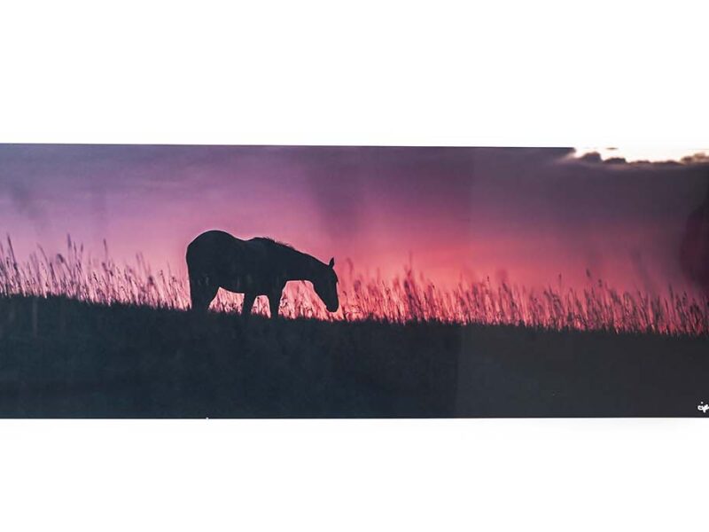 Day Is Done 9.25×30 Metal Print