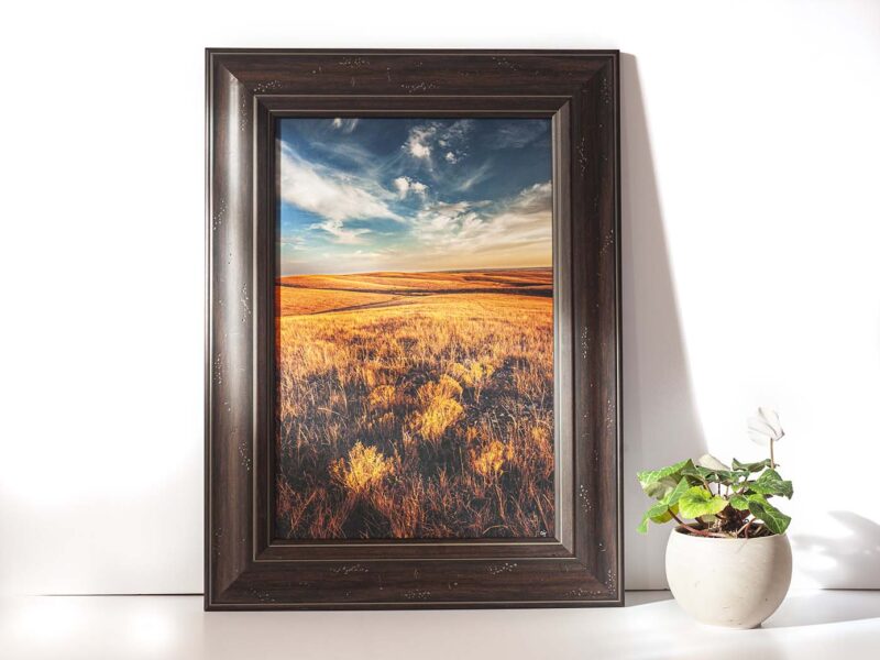 Dakota Day 12×18 Framed Giclee Canvas Print