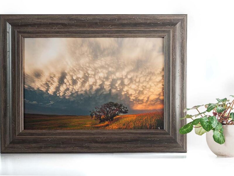 Beholding 12×18 Framed Giclee Canvas Print