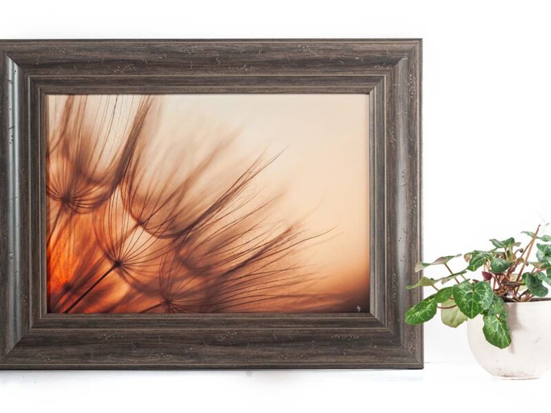 Known 12×18 Framed Giclee Canvas Print