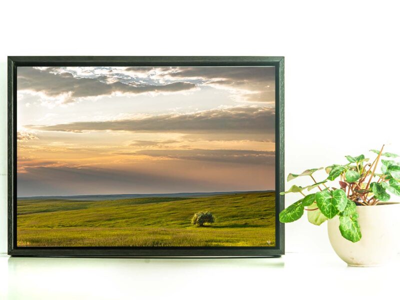 Abiding 12×18 Metal Float Framed Print