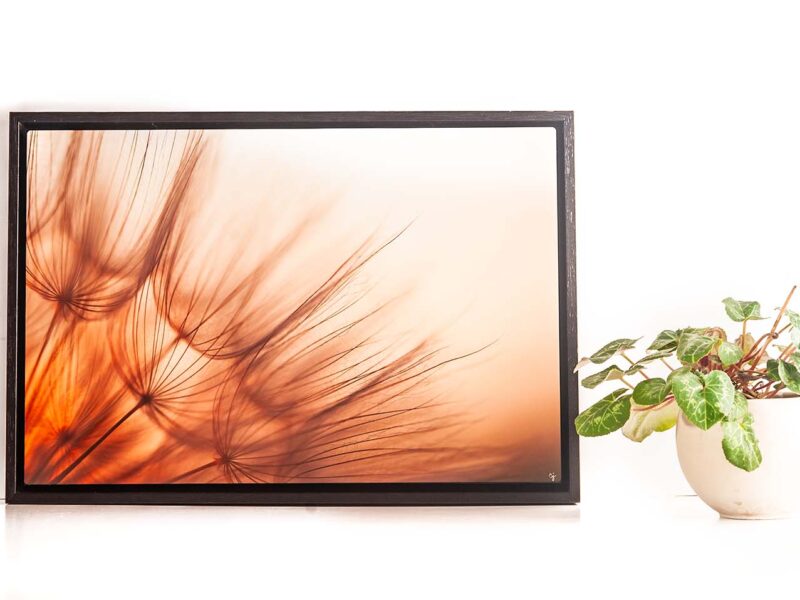 Known 12×18 Metal Float Framed Print