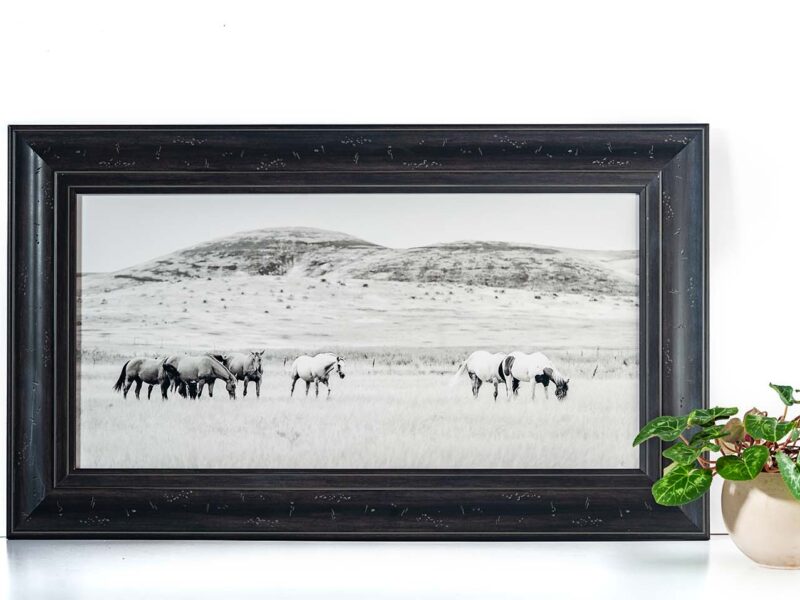 Caught in the Middle 12×24 Framed Giclee Canvas Print