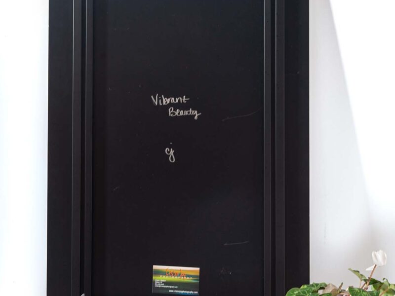 Vibrant Beauty 20×30 Acrylic Glass Print