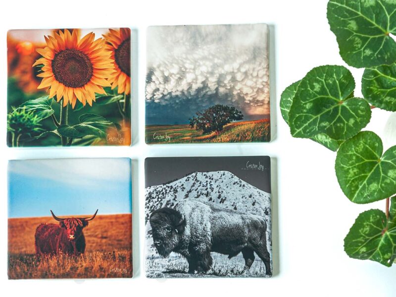 2025 Top Four Coaster Collection