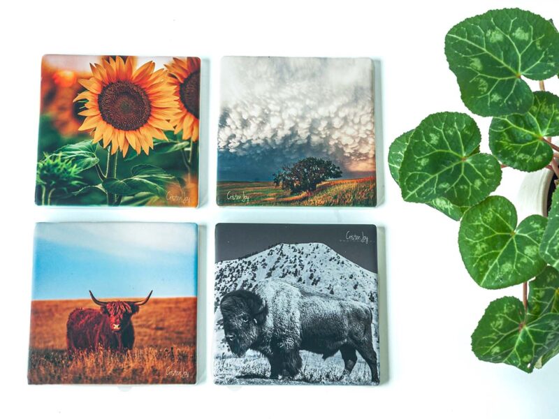 2025 Best Sellers Coaster Collection