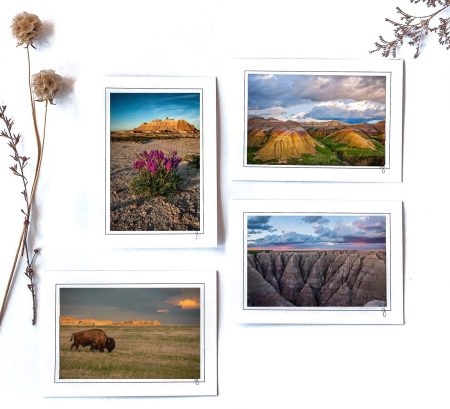 2025 Badlands Collection wv 2 copy