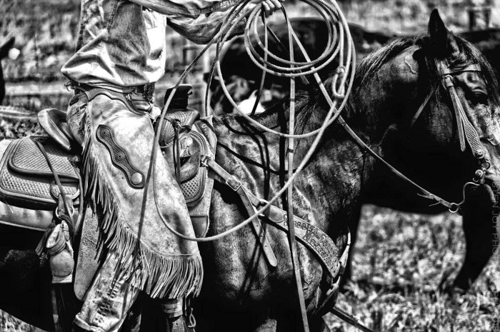 Authentic Cowgirl