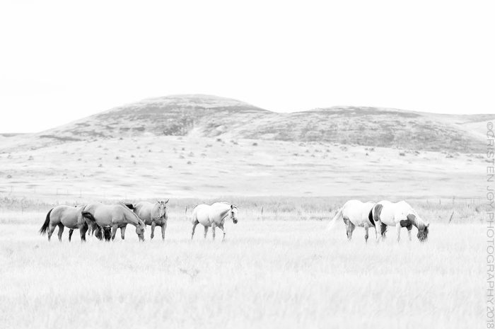 Caught in the Middle