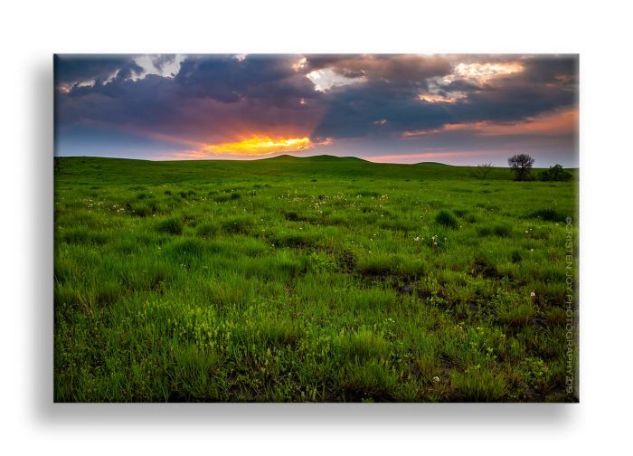 After the Rain © Cristen J. Roghair http://cristenjoyphotography.com After the Rain